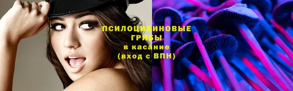 твердый Кулебаки