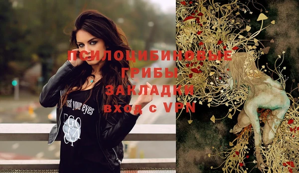 твердый Кулебаки